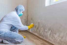 Trusted Little Round Lake, WI Mold Removal Experts