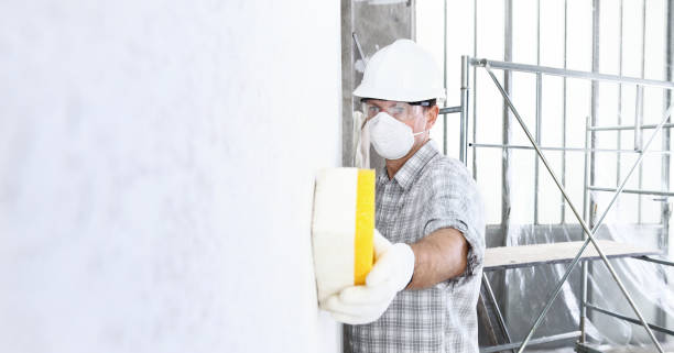 Best Mold Prevention Services in Little Round Lake, WI